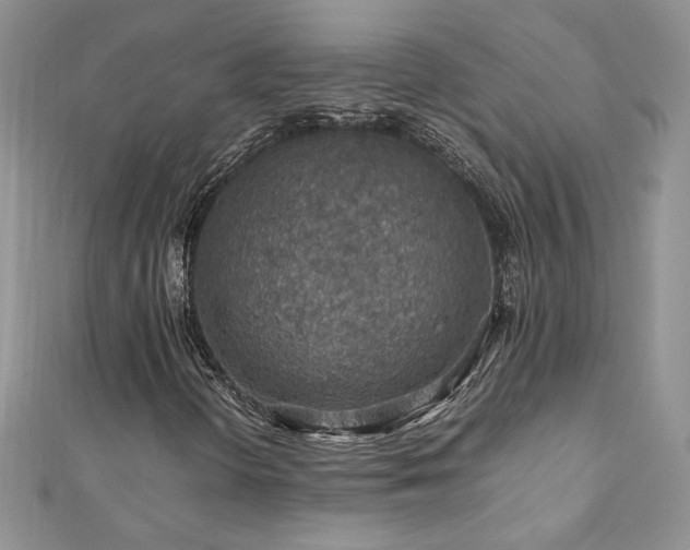 X0000110931298200906181421