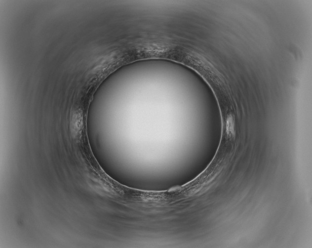 X0000110931299200906181421