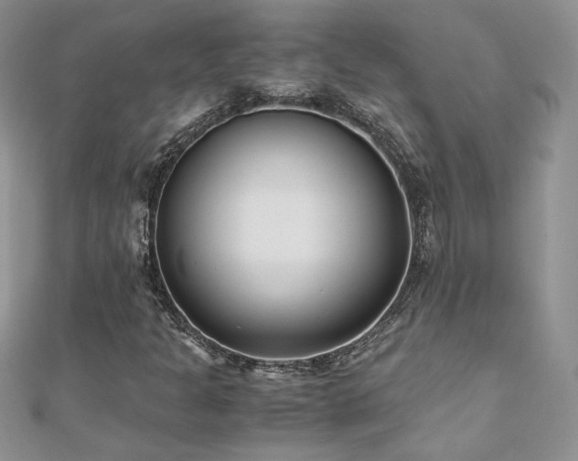 X0000110931301200906181421