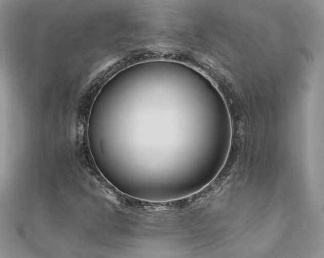 X0000110931302200906181421