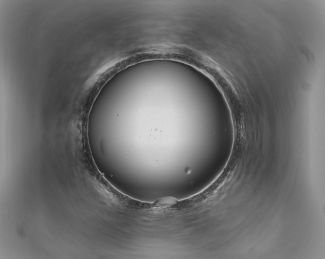 X0000110931304200906181421