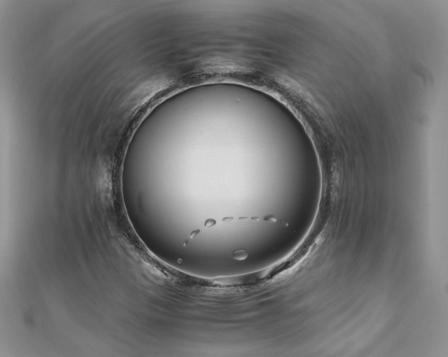 X0000110931305200906181421
