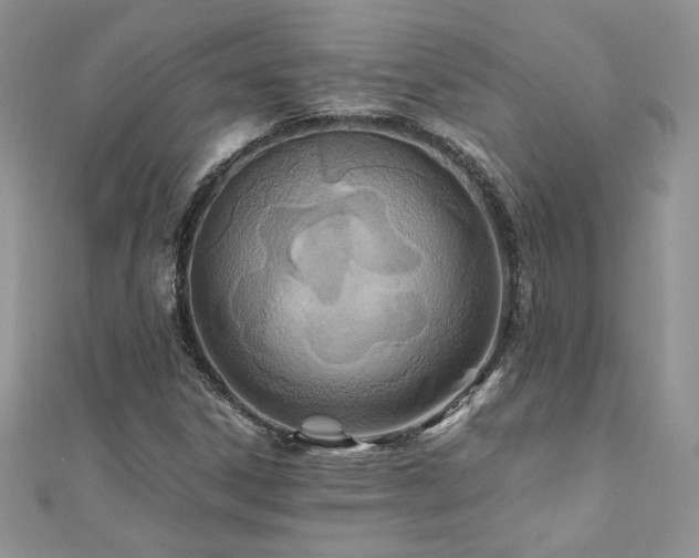X0000110931306200906181421