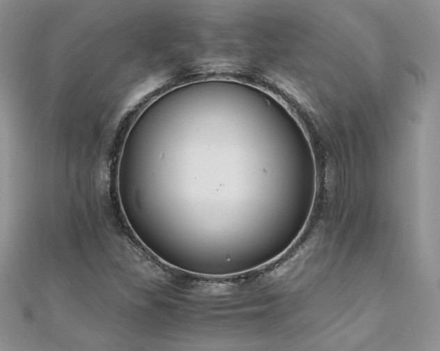 X0000110931309200906181421