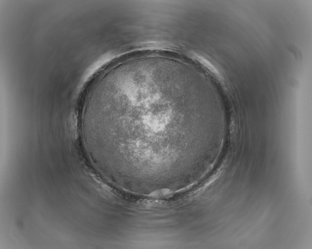 X0000110931310200906181421