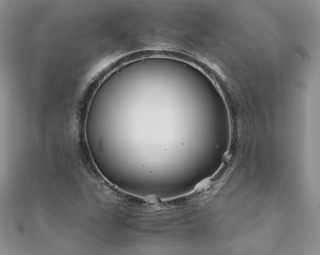 X0000110931311200906181421