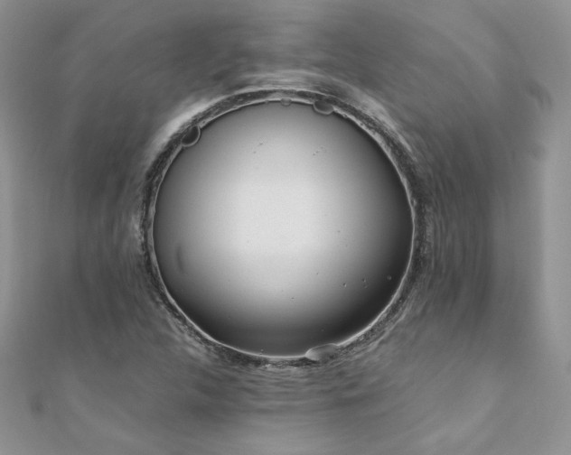 X0000110931312200906181421