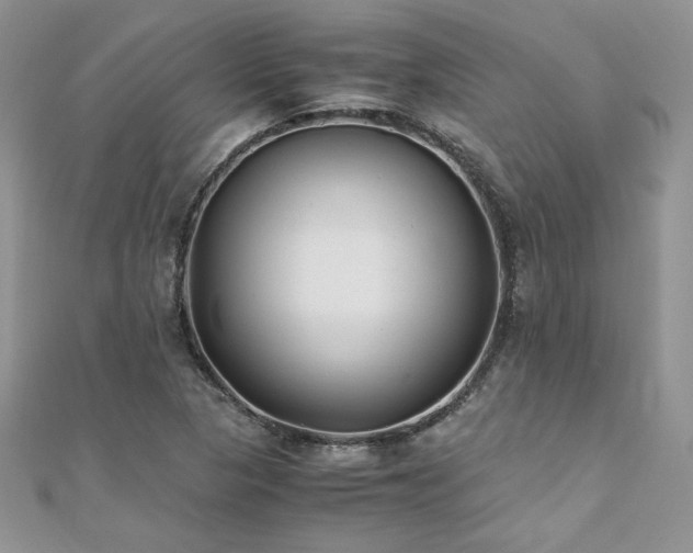 X0000110931313200906181421