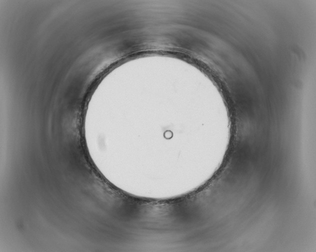 X0000110931314200906181421