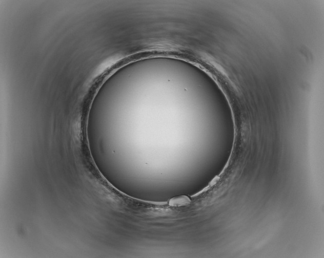 X0000110931315200906181421