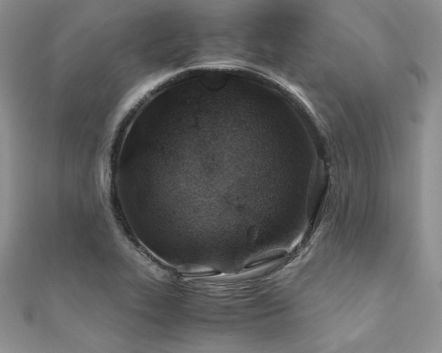 X0000110931319200906181421