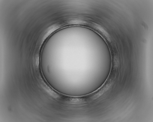 X0000110931322200906181421