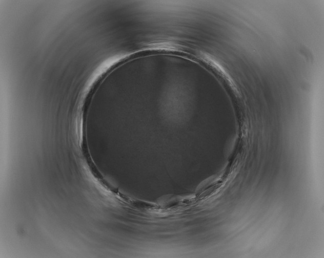 X0000110931323200906181421