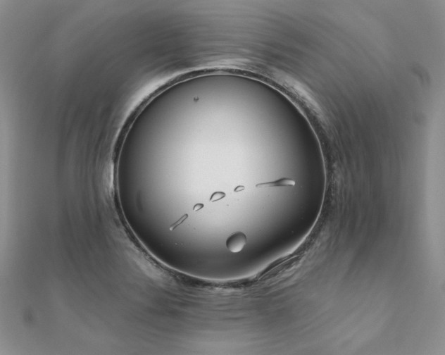 X0000110931324200906181421