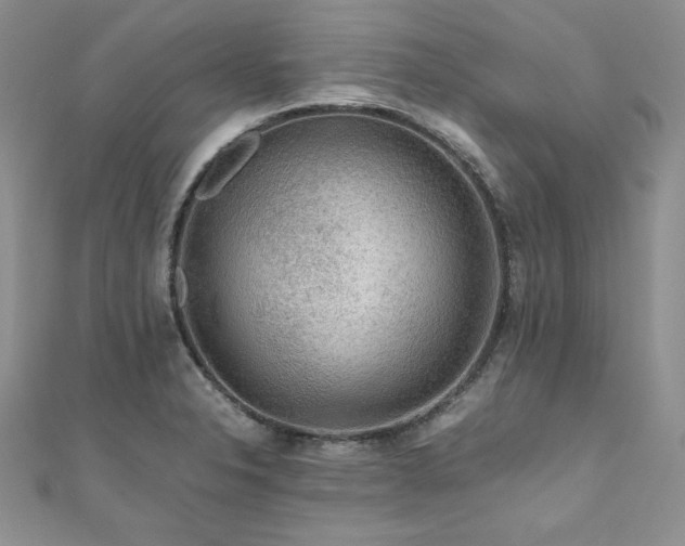 X0000110931326200906181421