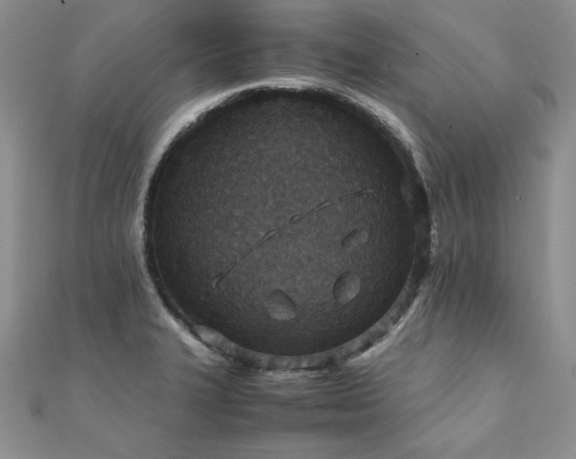 X0000110931327200906181421