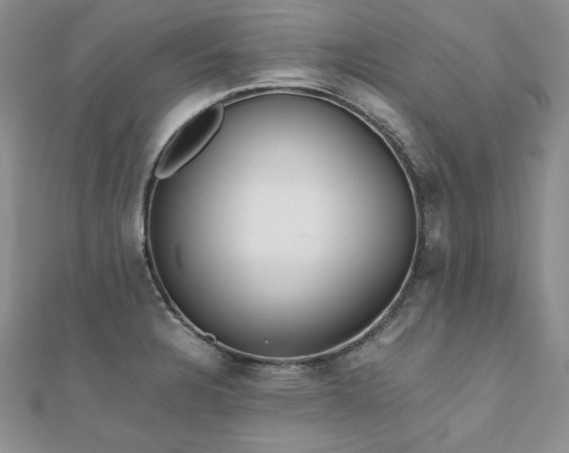 X0000110931328200906181421