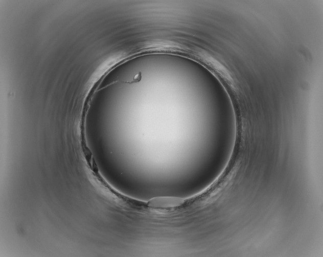 X0000110931330200906181421