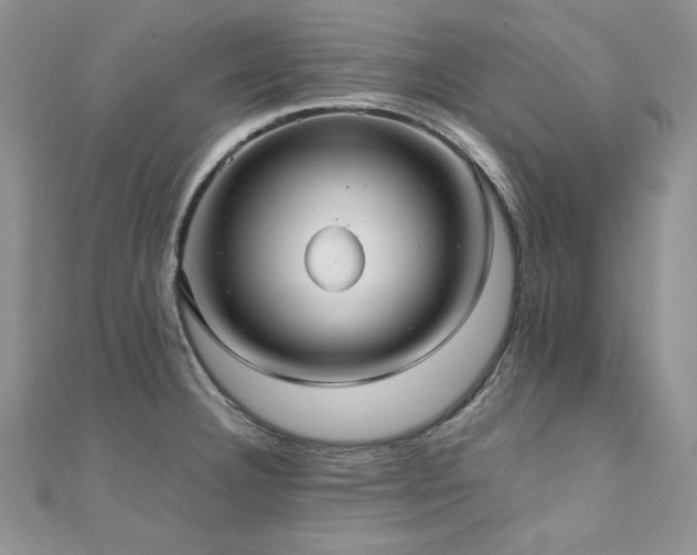 X0000110931332200906181421