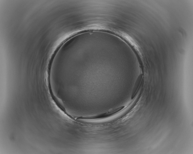 X0000110931334200906181421
