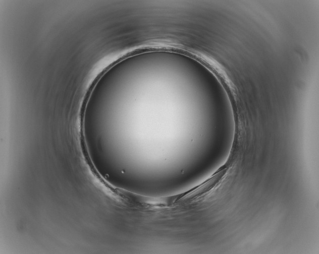 X0000110931335200906181421