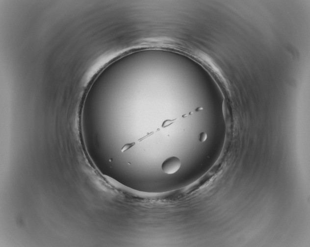X0000110931336200906181421