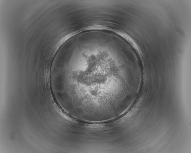 X0000110931337200906181421