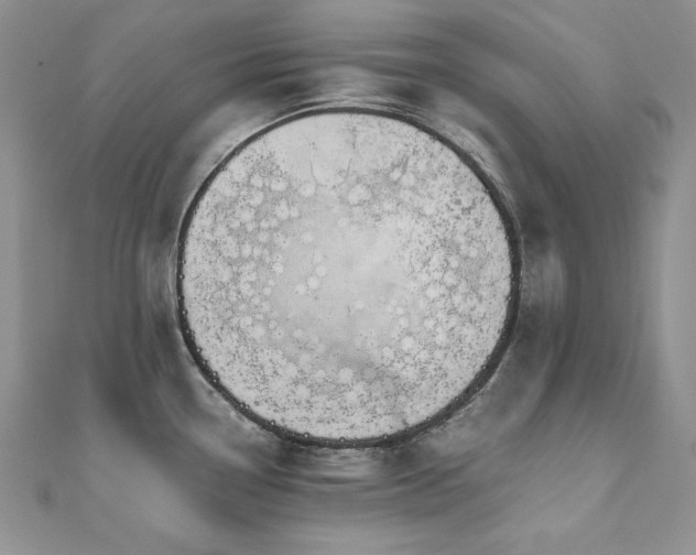 X0000110931338200906181421