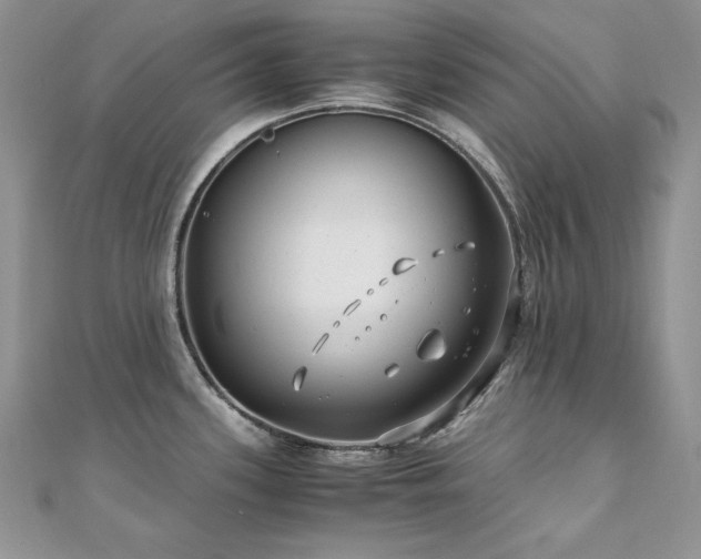 X0000110931339200906181421
