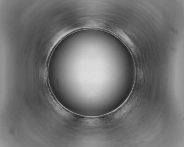 X0000110931340200906181421