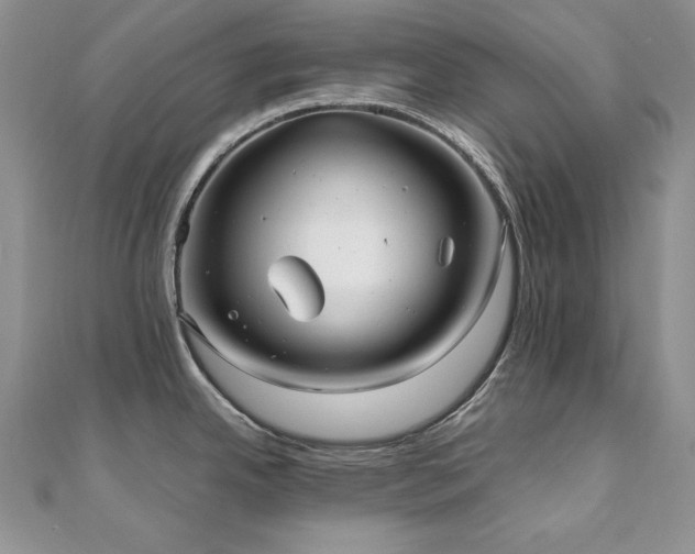 X0000110931342200906181421