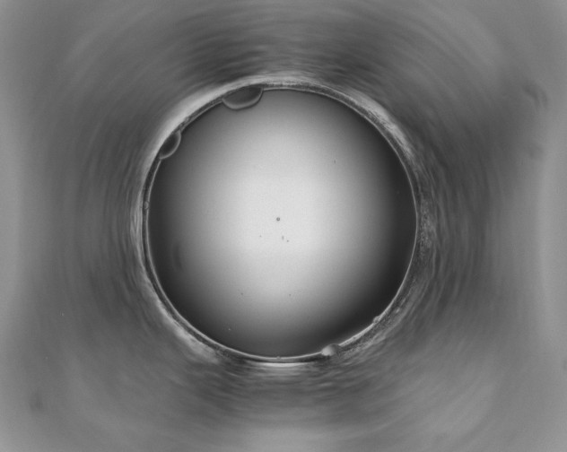 X0000110931343200906181421