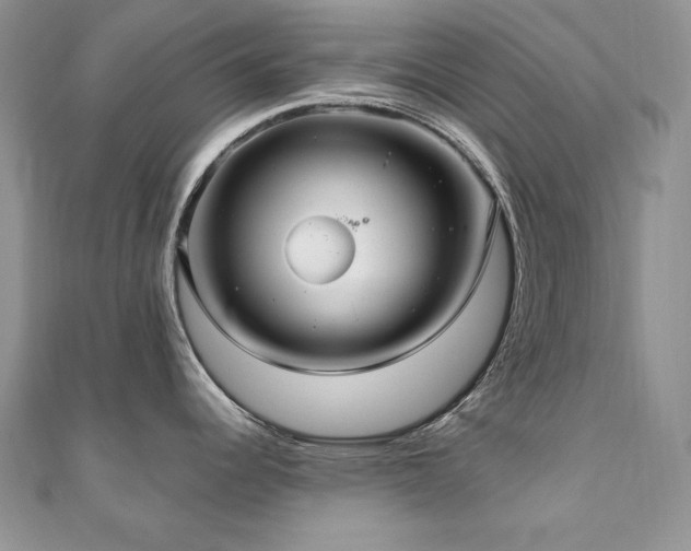 X0000110931344200906181421