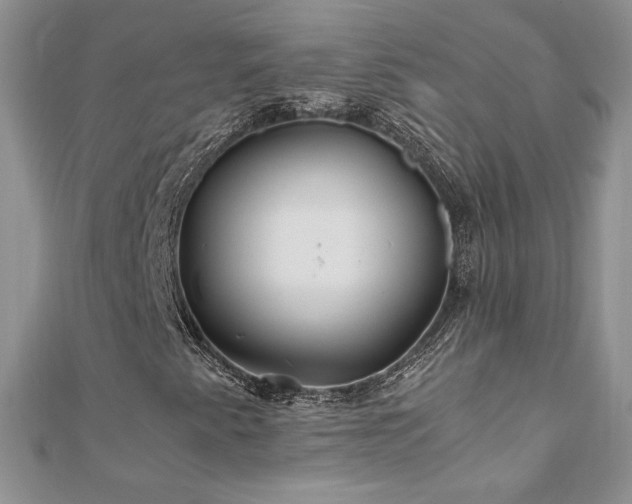 X0000110931345200906181421