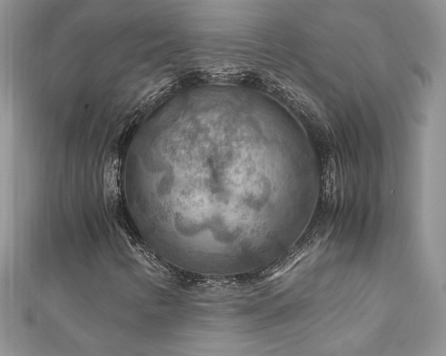 X0000110931346200906181421