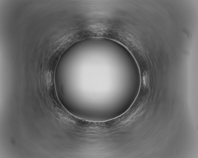 X0000110931347200906181421