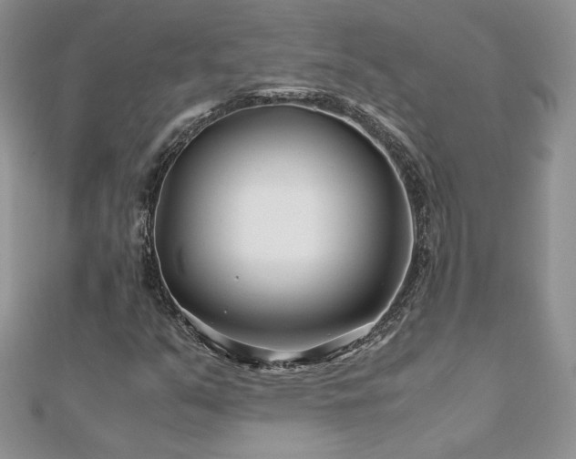 X0000110931351200906181421