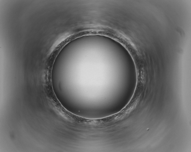 X0000110931352200906181421