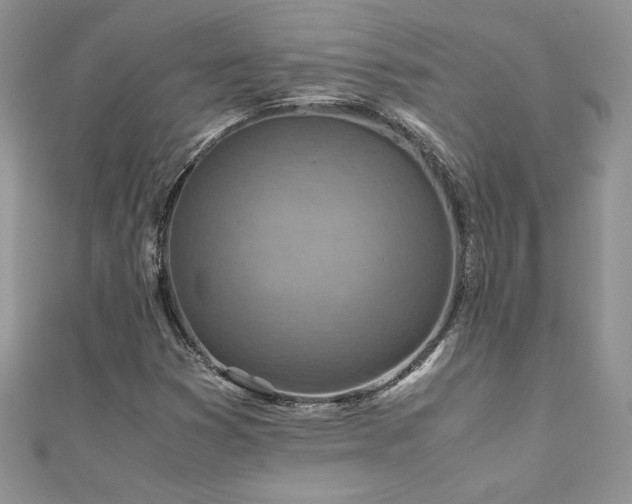 X0000110931353200906181421