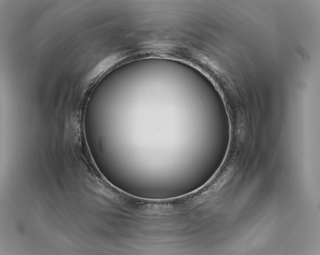 X0000110931354200906181421