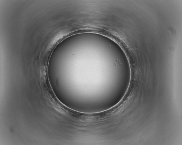X0000110931355200906181421