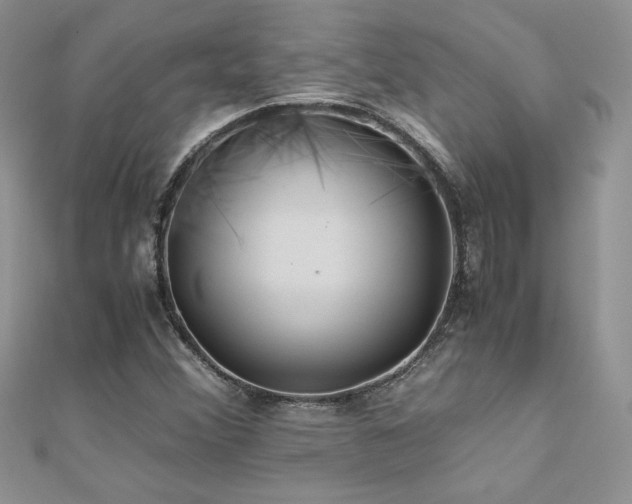X0000110931356200906181420