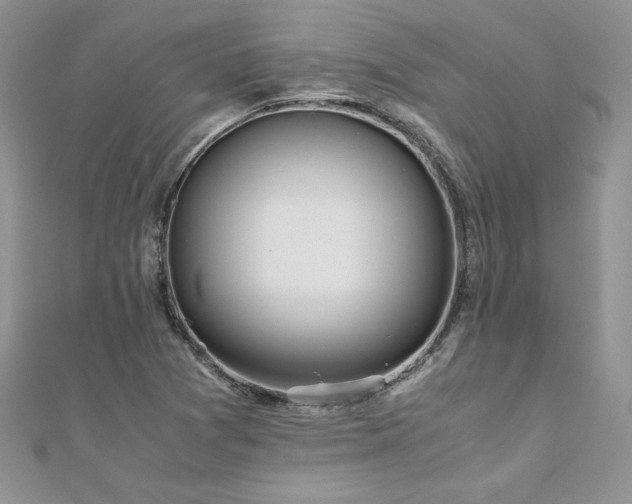 X0000110931361200906181420