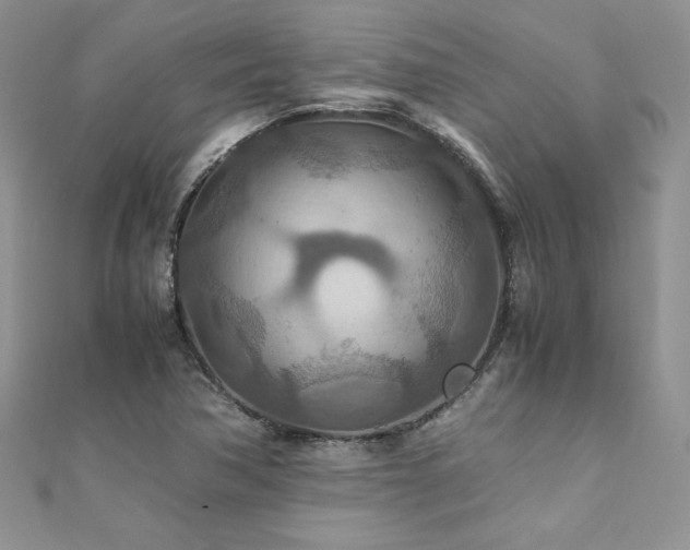 X0000110931362200906181420
