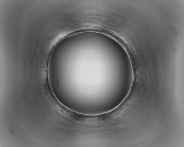 X0000110931363200906181420