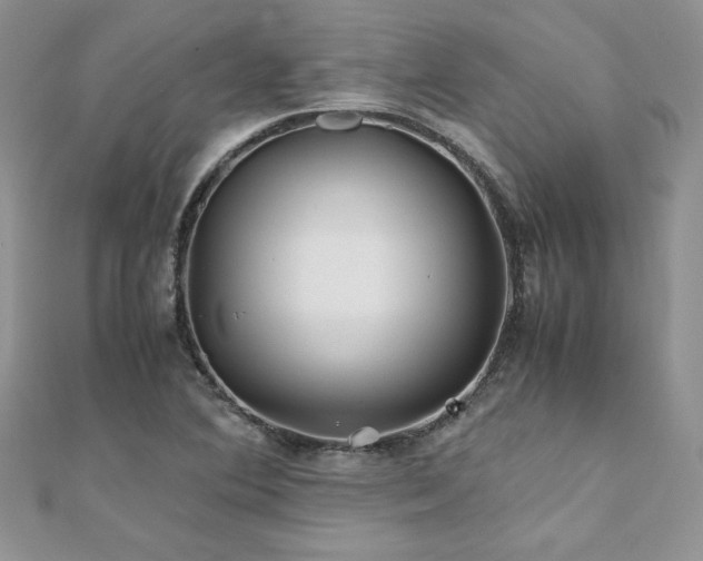 X0000110931364200906181420