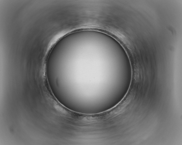 X0000110931366200906181420