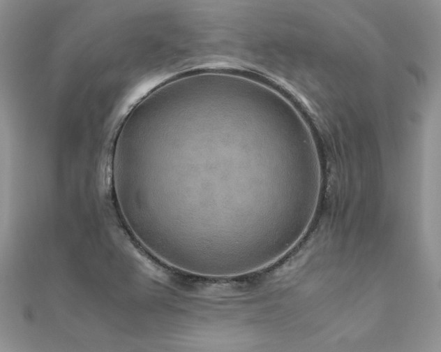 X0000110931367200906181420