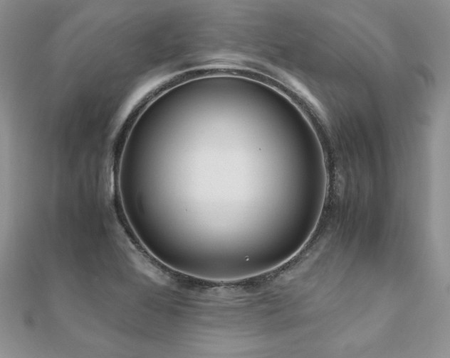 X0000110931368200906181420