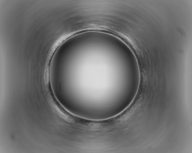 X0000110931371200906181420